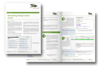 email fraud whitepaper